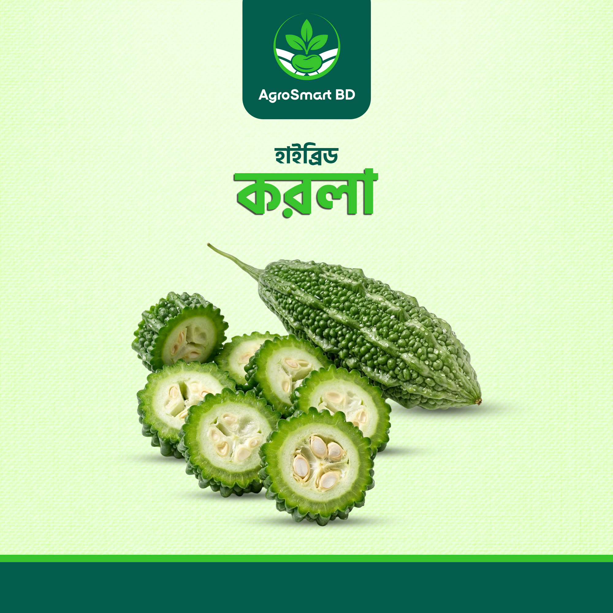হাইব্রিড করলা বীজ