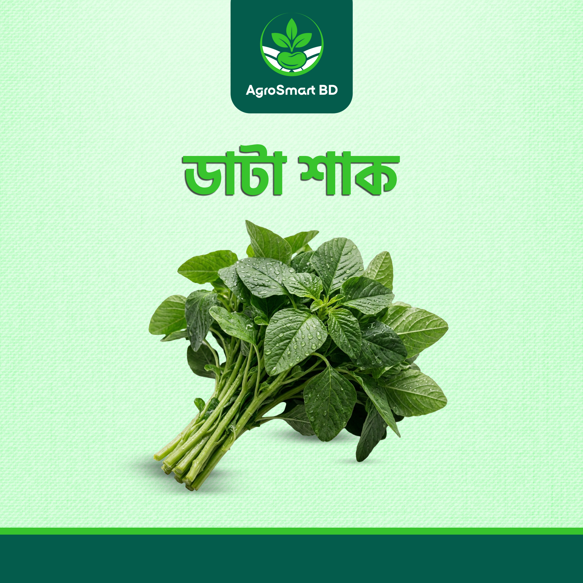 ডাটা শাক বীজ