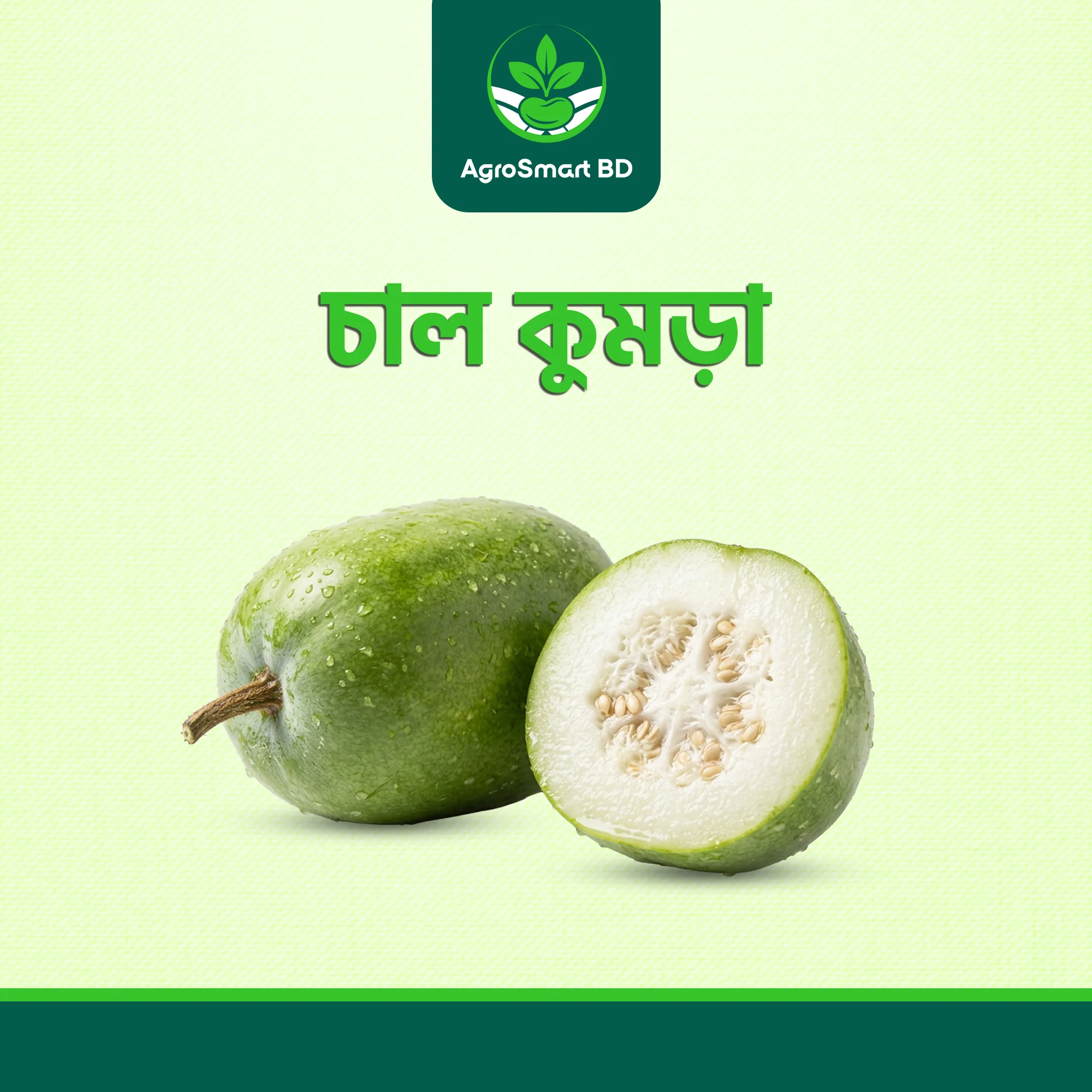 চাল কুমড়া বীজ