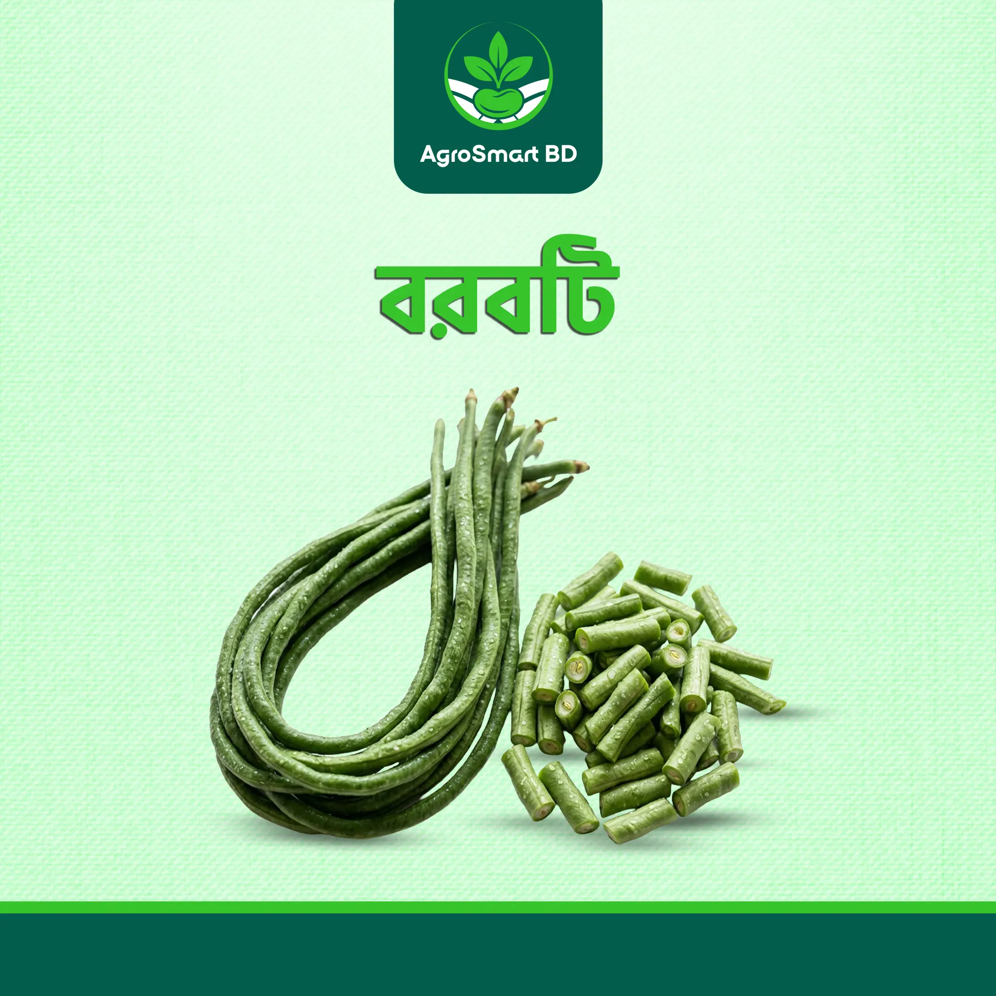 বরবটি বীজ