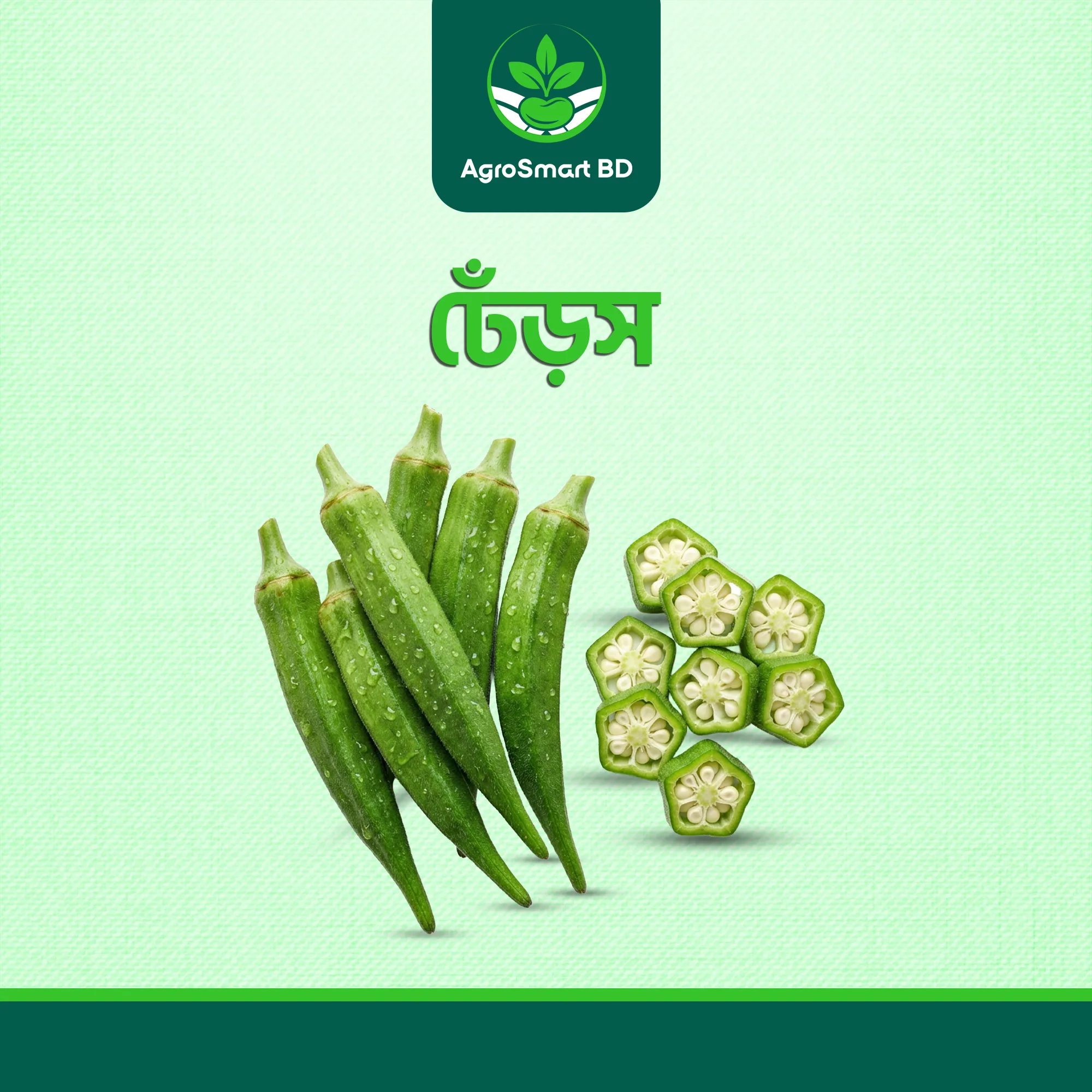 ঢেঁড়স বীজ