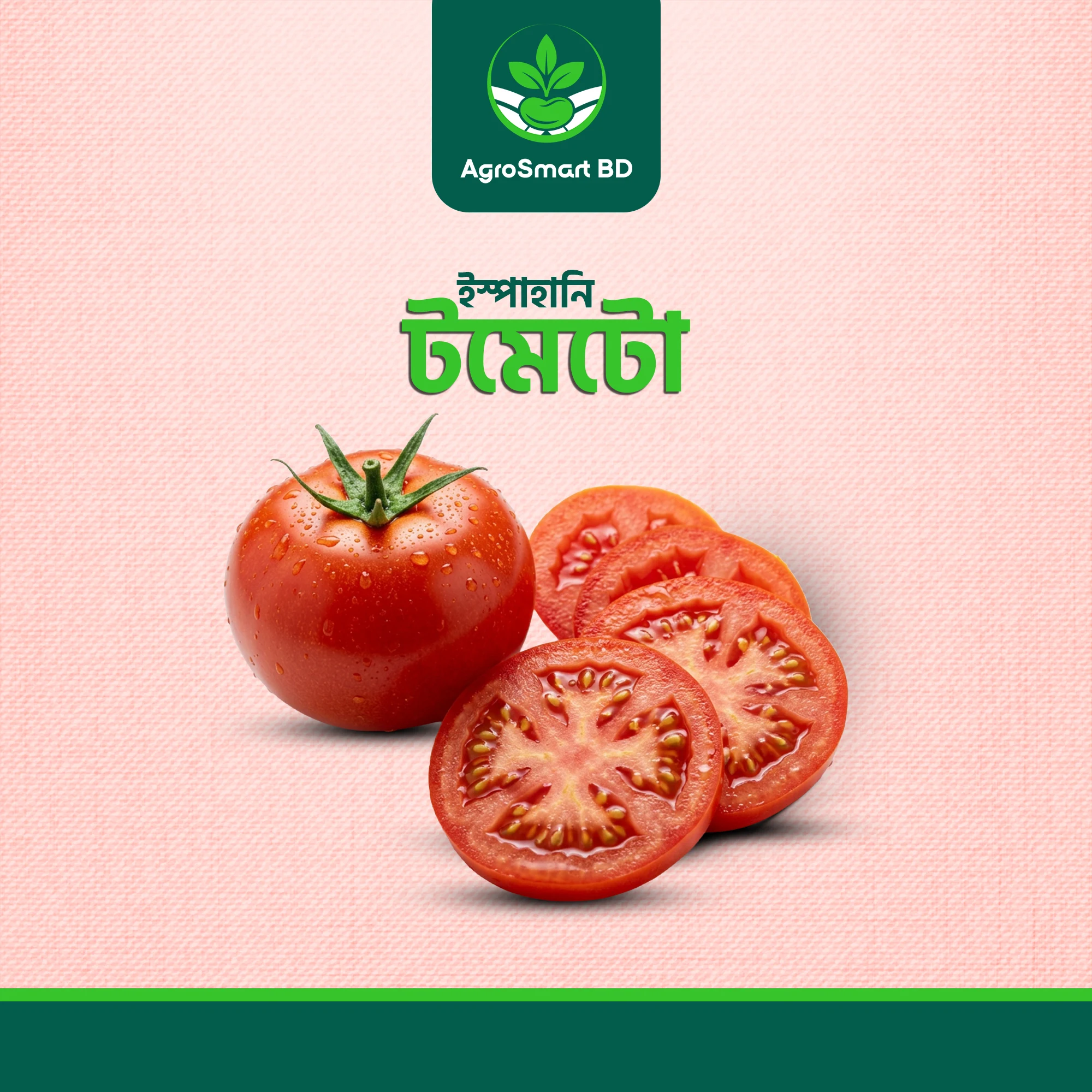 ইস্পাহানি টমেটো বীজ