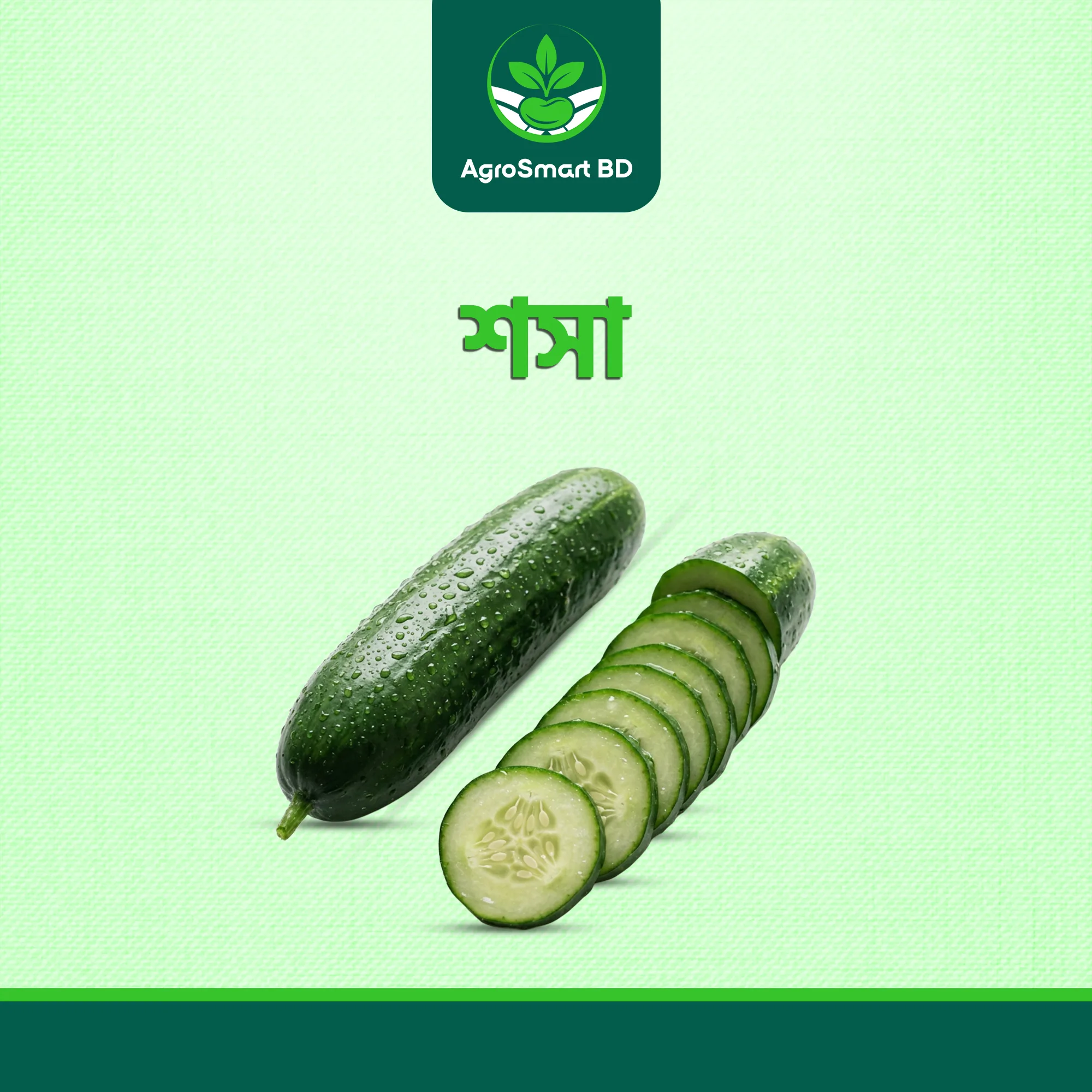 শসা বীজ