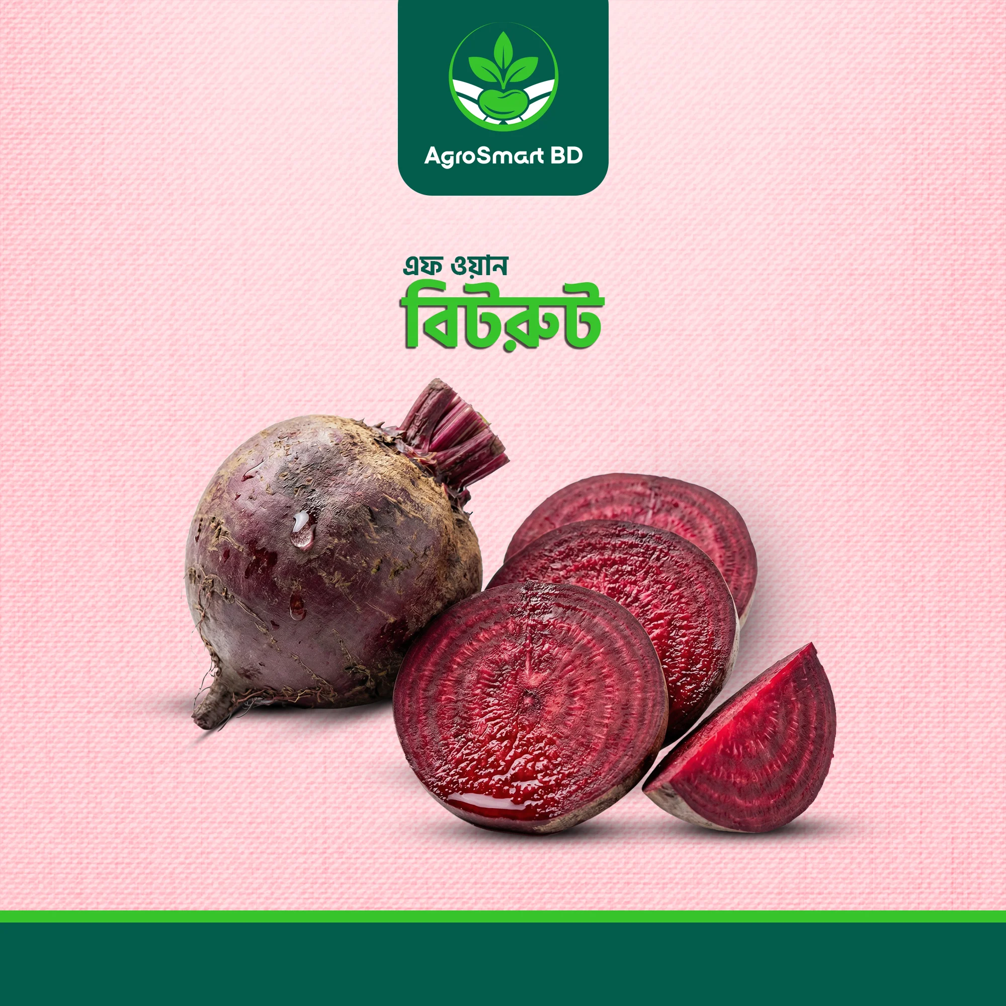 এফ ওয়ান বিটরুট বীজ