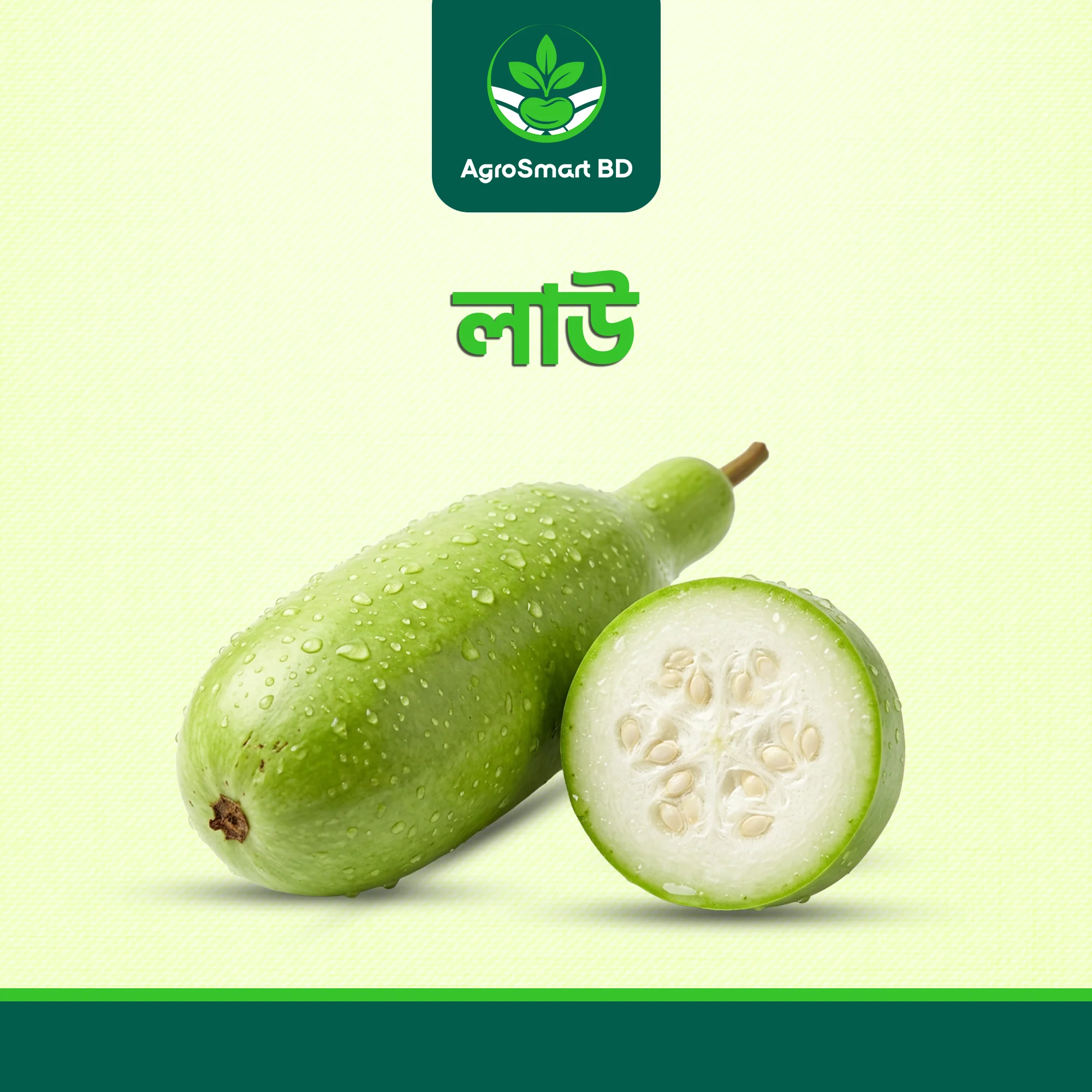 লাউ বীজ