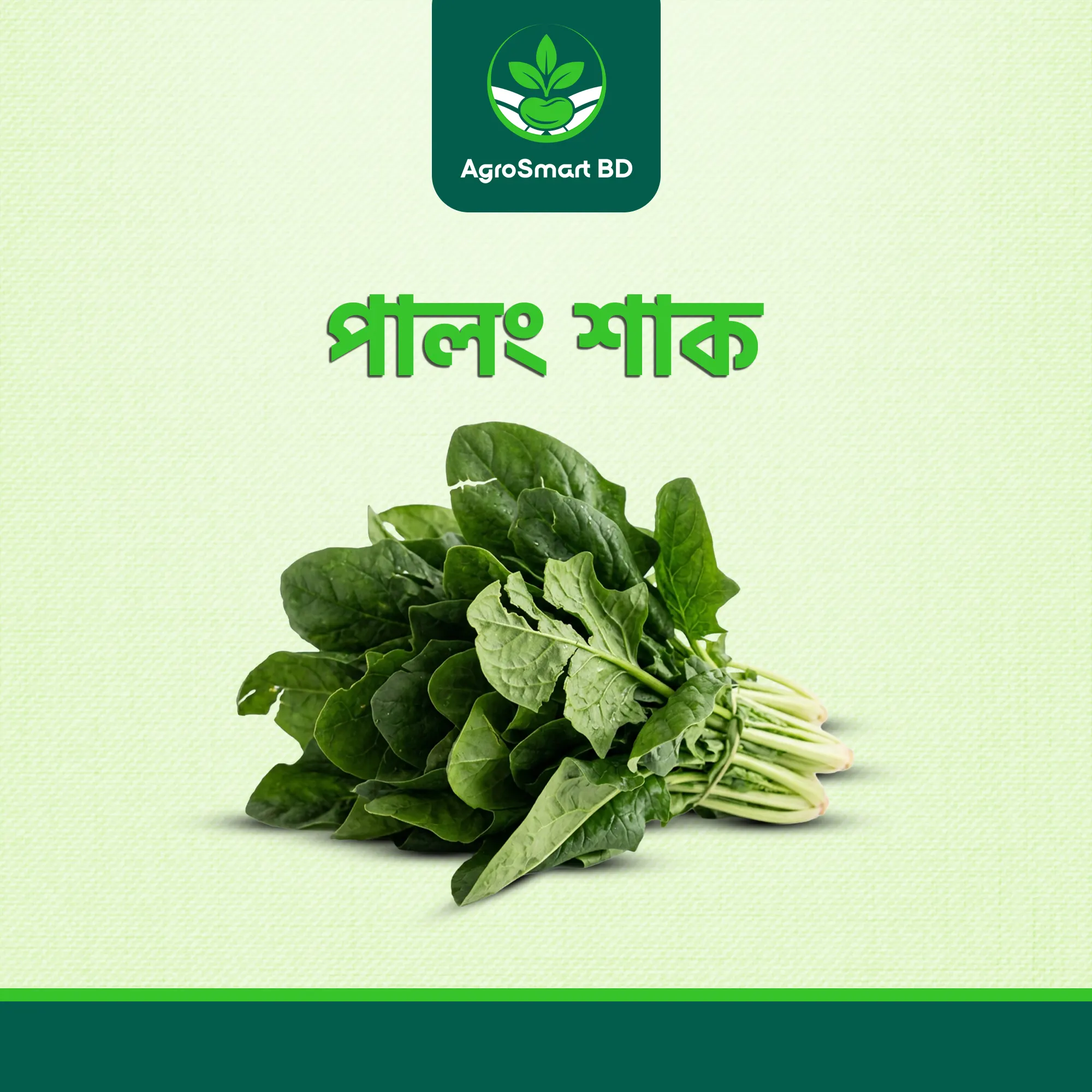পালং শাক বীজ